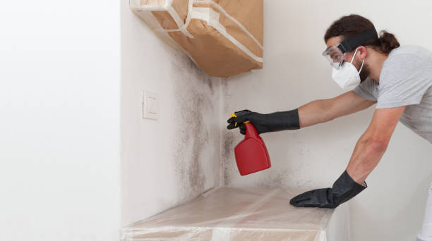 Professional Commercial Mold Remediation technician working in Linden, MI