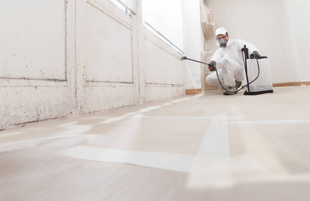 24/7 Emergency Commercial Mold Remediation experts in Linden, MI