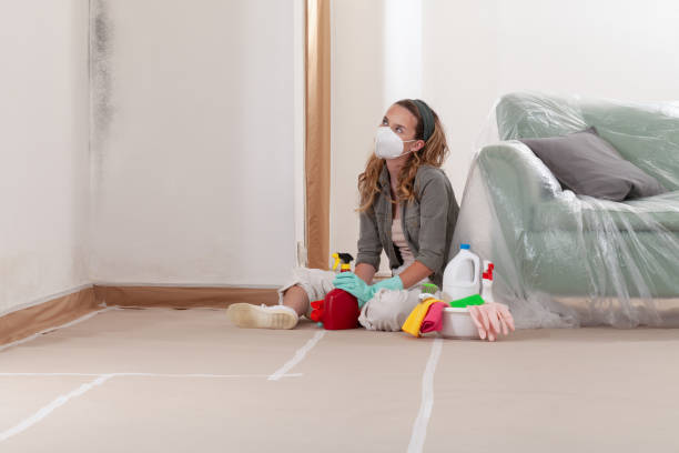 Reliable Commercial Mold Remediation contractor in Linden, MI by WQB Mold Removal